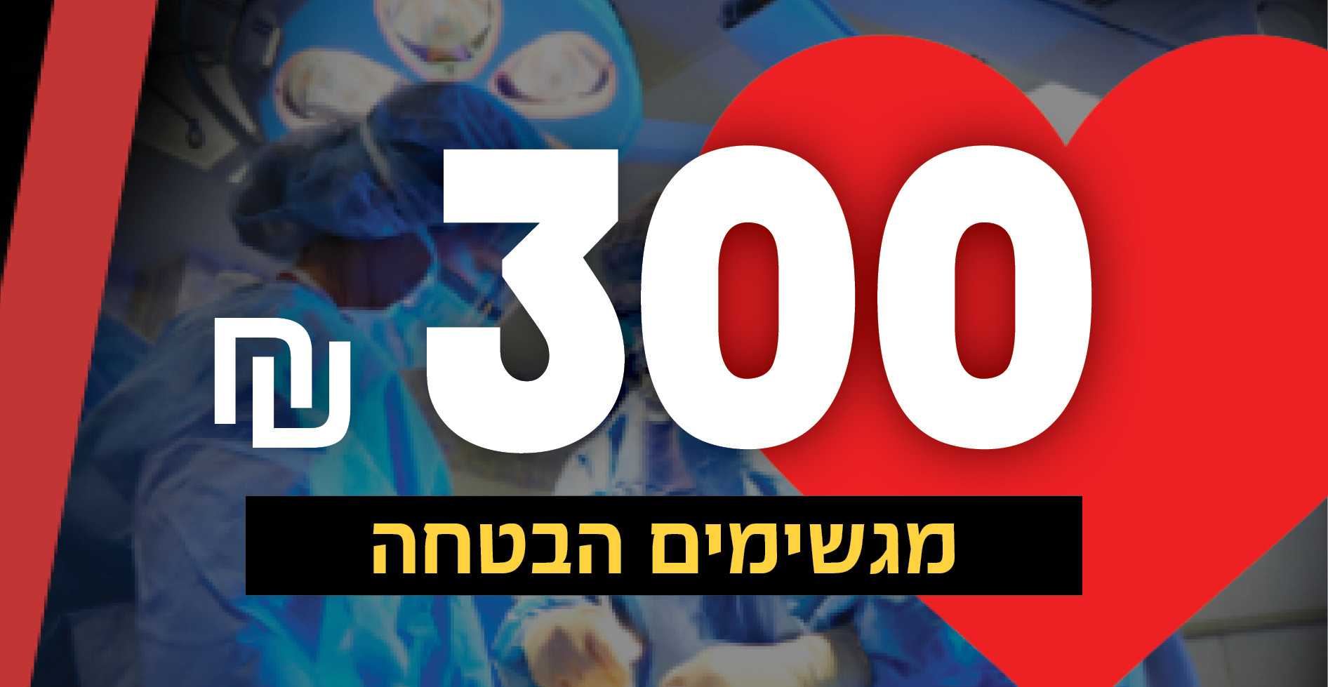 מגשימים הבטחה