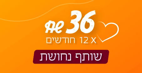 שותף נחושת